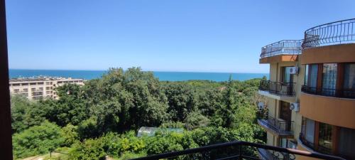 Golden Sands Apartment | Oceanfront Riviera Sea Village Apartments with Pool Access