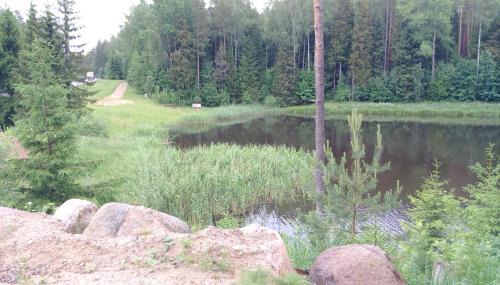 Saarde Resort | Discover RNK Peebu Kämping: Oceanfront & Pet Friendly Retreat
