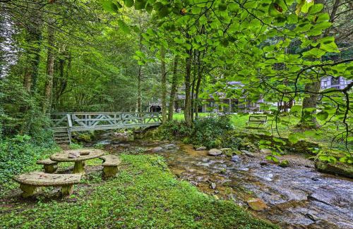 Roan Mountain House | Pet-Friendly Roan Mountain Cabin: Hike and Fish Adventures!