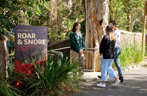 Mosman Hotel | Experience Roar And Snore: Highly Rated Family Getaway