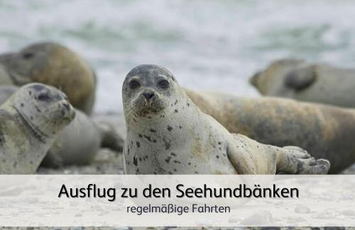 Esens Apartment | Family-Friendly Getaway at Robbe 2 - 4-Star Comfort