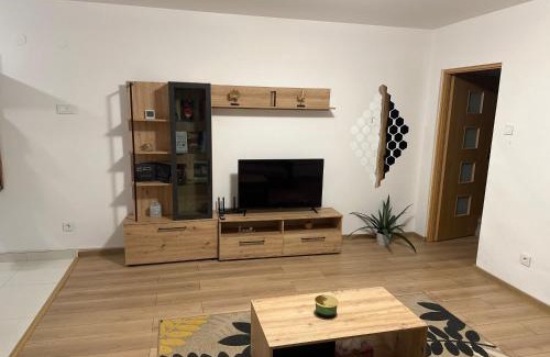 Bistrita Apartment | Family-Friendly Robert's Apartment with Perfect Guest Reviews
