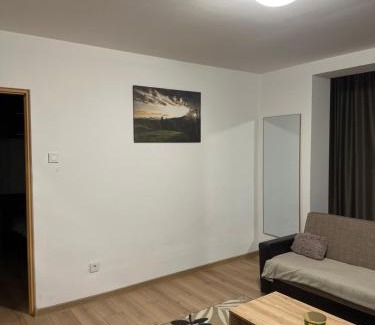 Bistrita Apartment | Family-Friendly Robert's Apartment with Perfect Guest Reviews