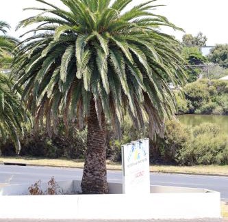 Waterhouse Hotel | Beachfront Retreat at Robetown Motor Inn & Apartments