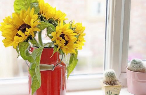 Billingshurst House | Family-Friendly Retreat at Robins Rest, Billingshurst