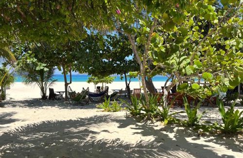 Phu Yen Hotel | Beachfront Robinson Bungalow with Ocean Views & Breakfast