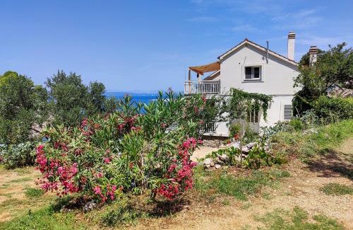 Gdinj Apartment | Stunning Oceanfront Robinson Lenka with 9.8 Guest Rating