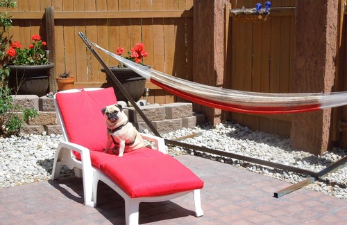 Salida Apartment | Rocco's By The River: Guest Rated 9.8 with Spa & Breakfast