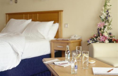 Dublin Hotel | Rochestown Lodge Hotel: Family-Friendly with Pool & Dining