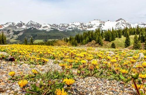 Mountain Village Hotel | Explore Rocky Mountain Lookout: Family-Friendly Retreat