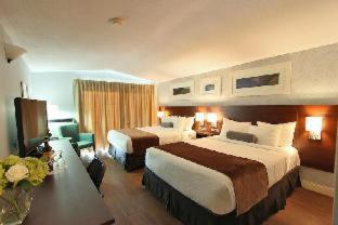 Moncton Hotel | Pet-Friendly Escape at Rodd Moncton with Ocean Views