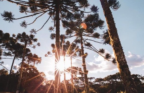 Cambara do Sul Hotel | Rodeio das Lagoas: Top-Rated Family & Pet-Friendly Escape