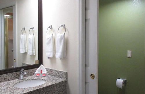 Albany Hotel | Family-Friendly Rodeway Inn with Pool and Great Location