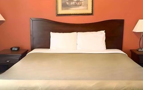 Manchester Hotel | Pet-Friendly Retreat at Rodeway Inn with Family Amenities