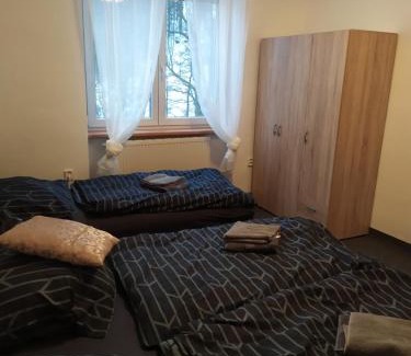 Stare Mesto Apartment | Family-Friendly Apartment at Nová Seninka with Great Reviews