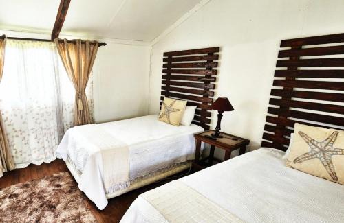 Kestell Bed & Breakfast | Discover Roes se Moes: Family-Friendly Escape Awaits