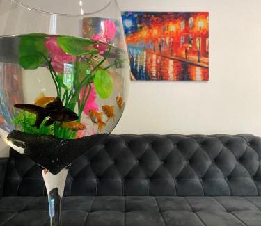 Bosnia House | Family-Friendly Hotel Rok: Guest Rated 10/10 Experience