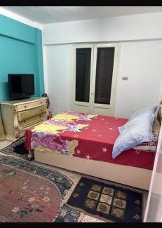 New Damietta Apartment | Roma apartment
