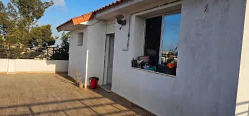 Algeria Apartment | romaine