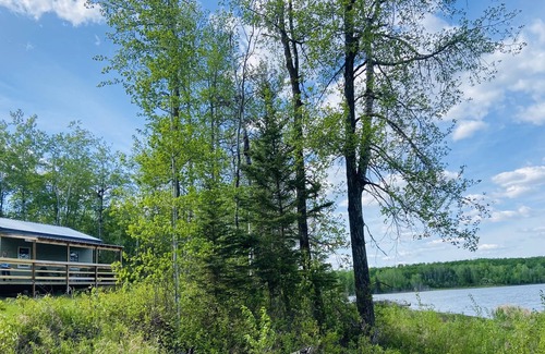 Lindbergh Cabin | Enchanting Country Cabin - Guest Rated 9.8, Pet Friendly