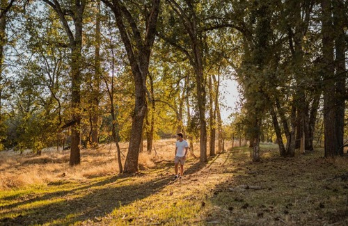Mariposa House | Romantic Retreat: Casa Oso with Hiking Trails & Pond