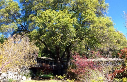 Murphys Apartment | Romantic Nature Retreat with Spa and Breakfast Included