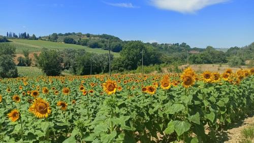 Deruta Apartment | Romantic suite in the village of Castelleone, vicino Deruta, Assisi, Perugia, Montefalco