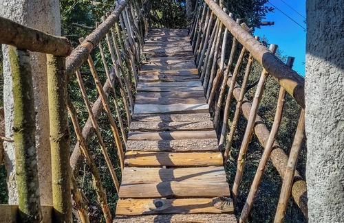 Mineral del Chico Cabin | Romantic treehouse with forest view and extensive green areas