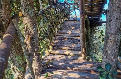 Mineral del Chico Cabin | Romantic treehouse with forest view and extensive green areas