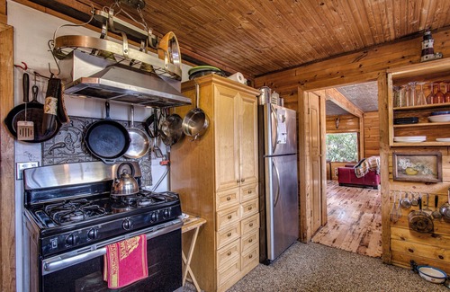 Lummi Island Cabin | Romantic Waterview Island Cabin with Hot Tub & Pet Friendly