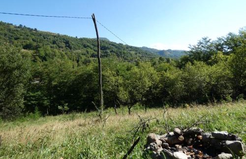 Buces Other | Enchanting Yurt Escape in the Apuseni Mountains