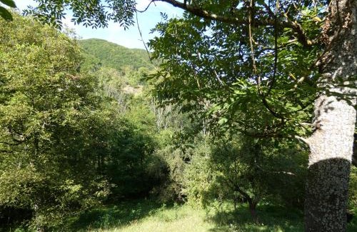 Buces Other | Enchanting Yurt Escape in the Apuseni Mountains