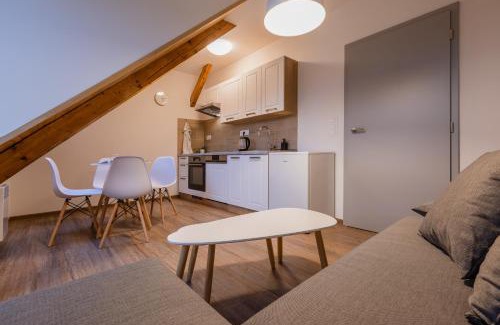 Olomouc Apartment | Charming LOFT with Parking Near the Main Train Station