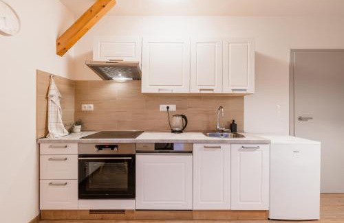 Olomouc Apartment | Charming LOFT with Parking Near the Main Train Station