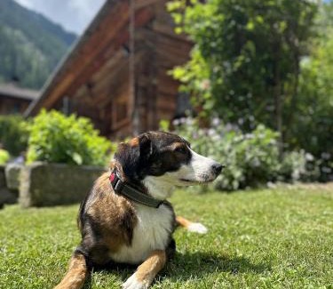 Flattach Ski Chalet | Experience the Romantikchalet: Pet and Child Friendly Stay