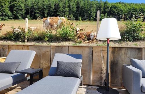 Grafschaft House | Pet-Friendly Romantikhütte Grafschaft: Guest Rated 10/10