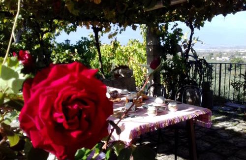 Chiaramonte Gulfi Bed & Breakfast | Inviting Ronnavona Casa Vacanze B&B with Breakfast & Pets