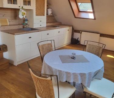 Olomouc Apartment | Family-Friendly Roof Apartment Ztracena with 8.6 Rating
