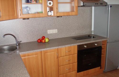 Grizinkalns Apartment | Scenic Rooftop Views with Pet and Child-Friendly Amenities