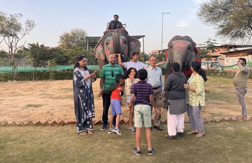 Pink City Villa | Experience Elephants Up Close in Room 4 with Family Friendly Amenities