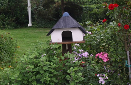 Wenningstedt-Braderup Cottage | Oceanfront Escape at Pension Möwennest: Pet Friendly Stay