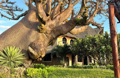 Shimoni Villa | Inviting Dolphin Suite with Ocean View & Spa Amenities