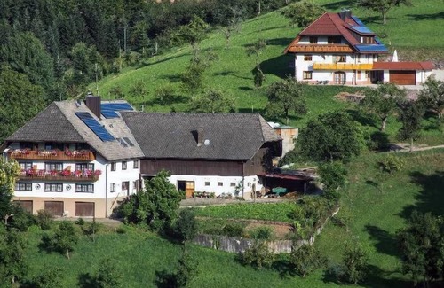 Oberharmersbach Apartment | Cozy Farmer's Room with Breakfast & Child-Friendly Amenities
