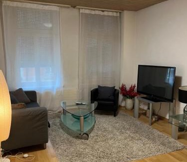 St. Gallen Apartment | Inviting Room Service at Joppich - Pet & Child Friendly Stay