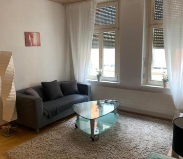 St. Gallen Apartment | Inviting Room Service at Joppich - Pet & Child Friendly Stay
