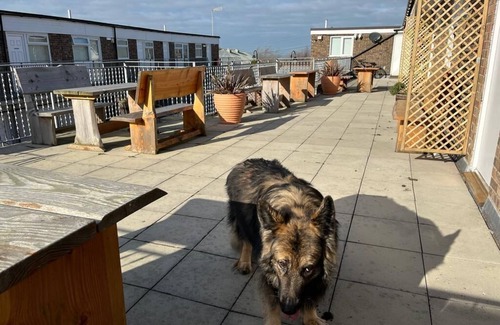 Aberporth Apartment | Cozy Apartment with Balcony & Ocean View for Two