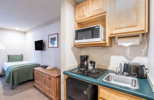 Telluride Hotel | Budget-Friendly Room with Kitchenette and Pet Amenities