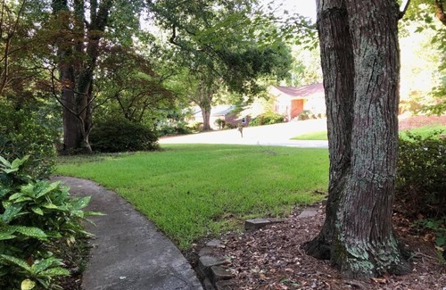 Harbison Apartment | ROOMY APARTMENT IN QUIET NEIGHBORHOOD CLOSE TO EVERYTHING!