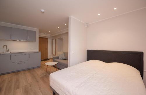 Kesklinn Apartment | Roosikrantsi Studio Apartments