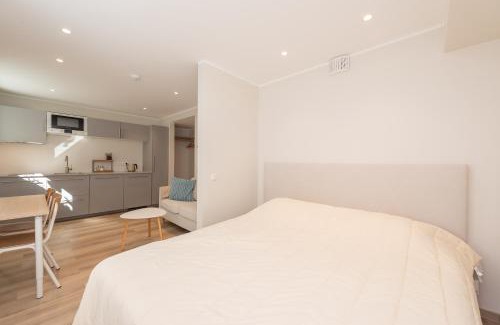 Kesklinn Apartment | Roosikrantsi Studio Apartments